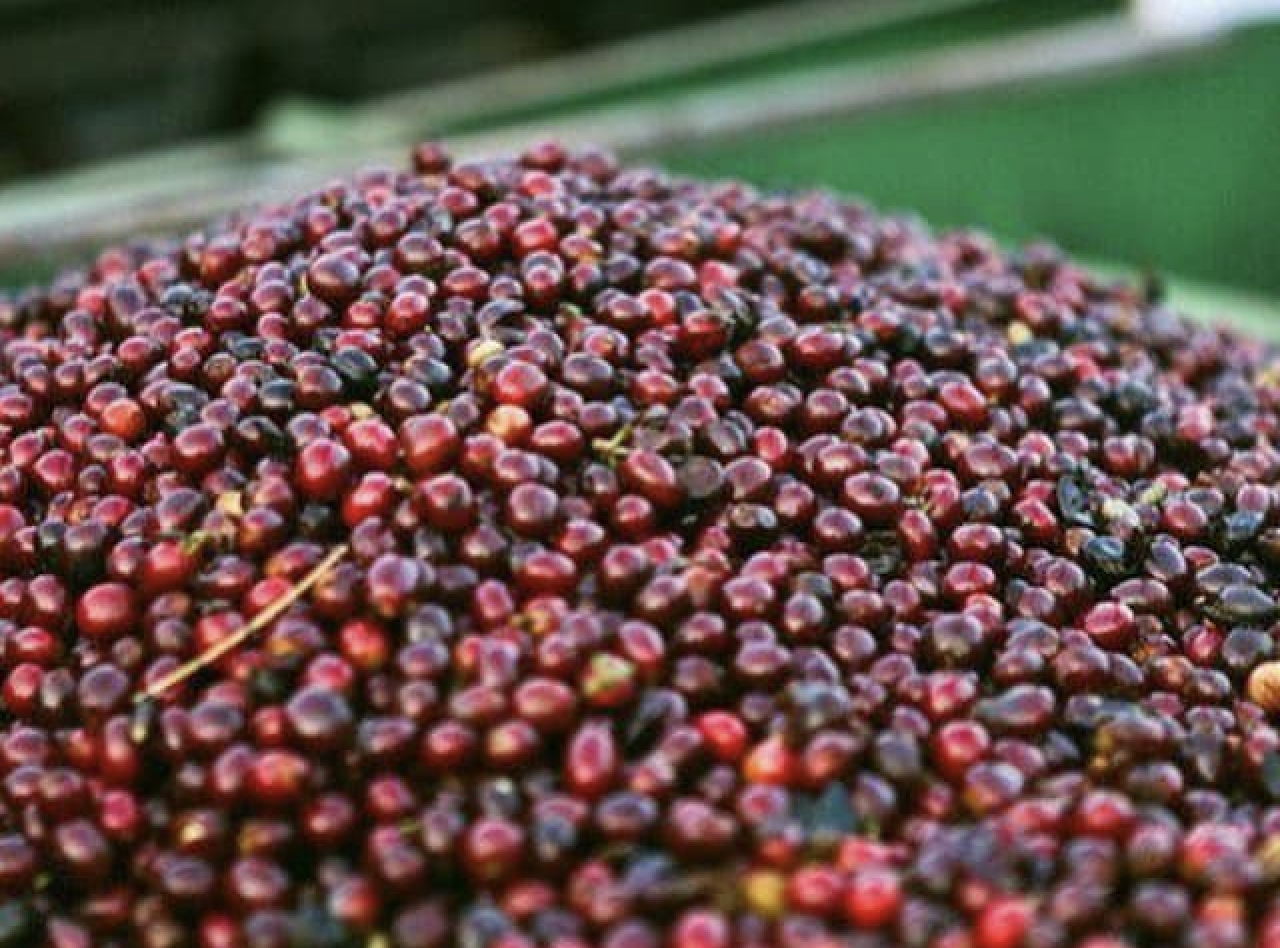 Ảnh màn hình 2024 05 30 lúc 15.52.01.png