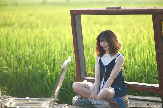 Quán cà phê giữa cánh đồng đẹp ngất ngây trong mùa lúa chín