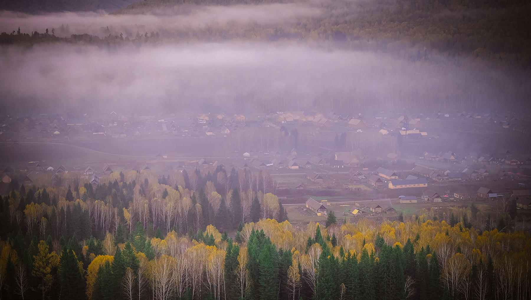 tan cuong 232424.jpg