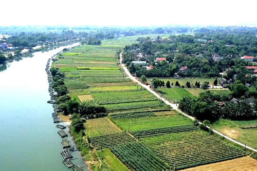 Thừa Thiên Huế sắp đấu giá 173 lô đất, khởi điểm từ hơn 374 triệu đồng