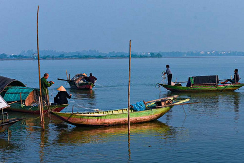 Sông Lam, mùa săn cá trích mòi ‘nửa sông, nửa biển’