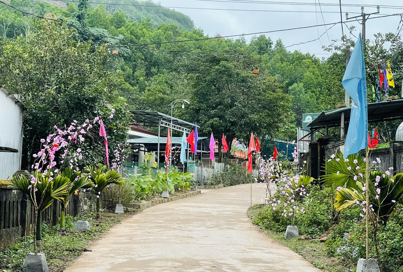Ảnh màn hình 2024 06 01 lúc 21.22.06.png