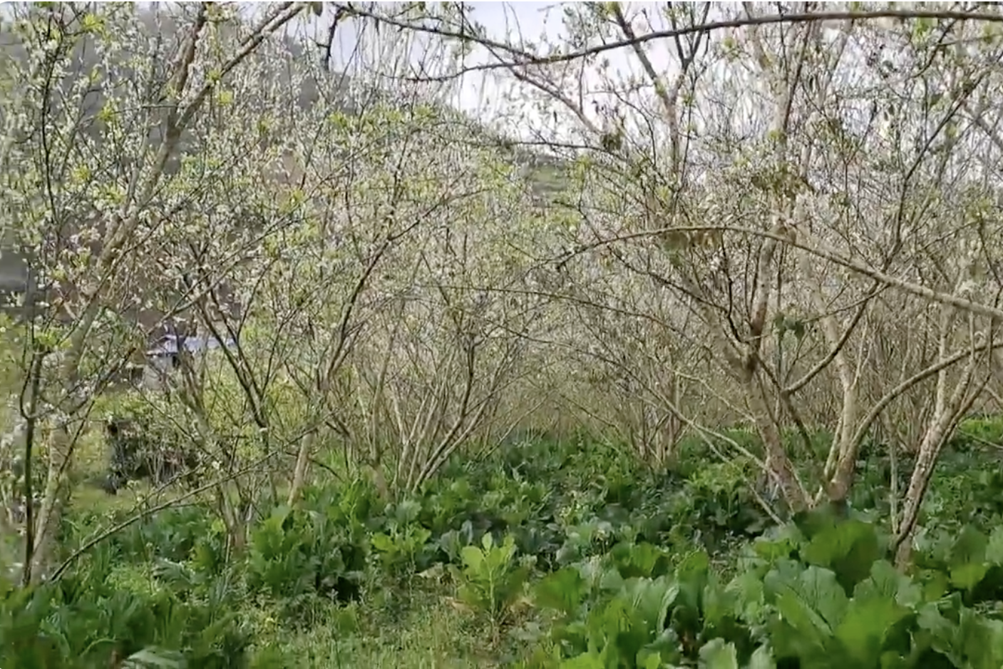 Công tác truyền thông, tuyên truyền vận động được tập trung đẩy mạnh