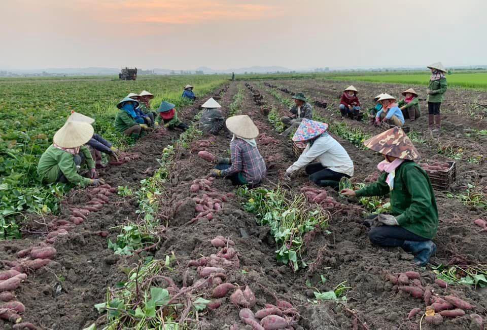 Xây dựng ‘lưới an sinh’ bao trùm, bền vững