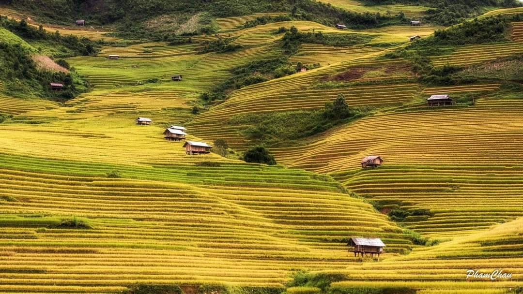 Phấn đấu hỗ trợ 100 giải pháp dựa vào cộng đồng để có sinh kế bền vững năm 2028