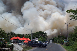 Cháy Vườn quốc gia Tràm Chim: Do có người xâm nhập, dùng lửa bất cẩn