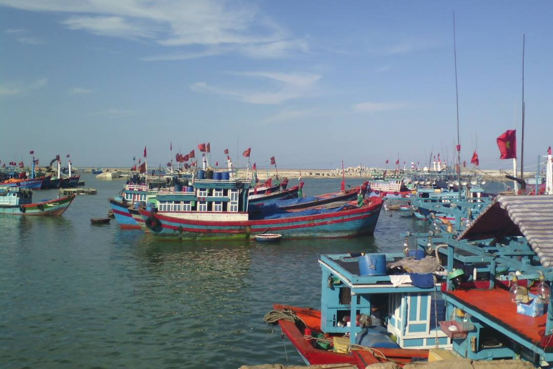 Cà Mau đang khẩn trương rà soát số hoá dữ liệu tàu cá