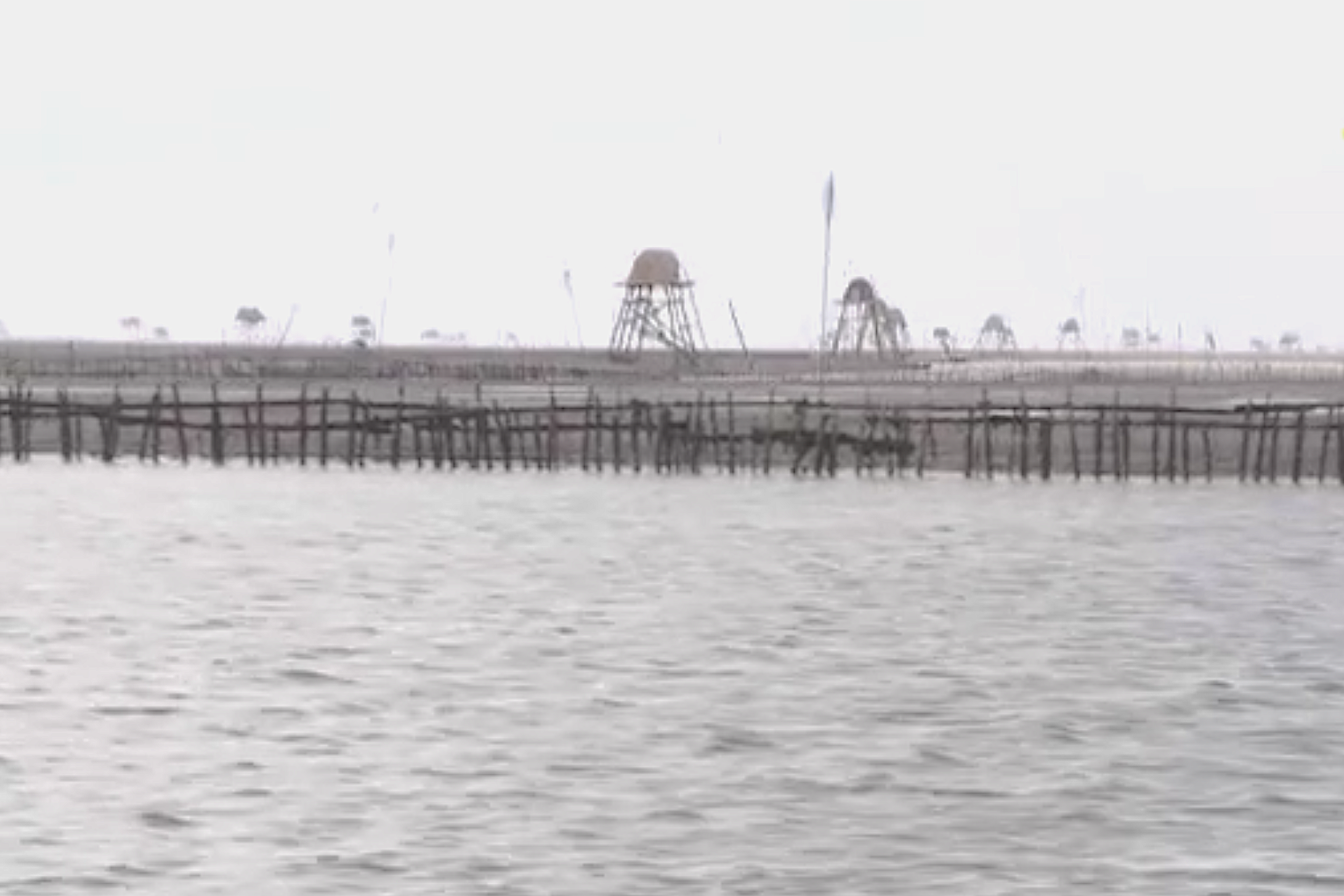 Các cơ quan đại diện Việt Nam tại Đức tiếp sức tỉnh Thái Bình xúc tiến đầu tư