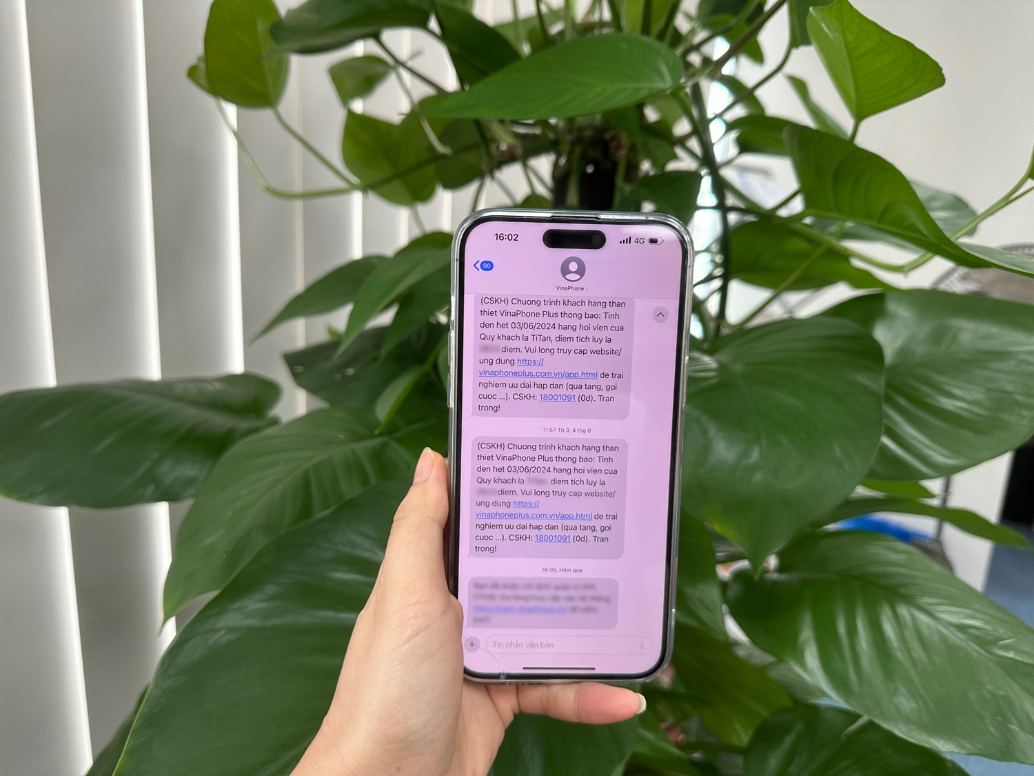 dich vu sms brandname.jpg