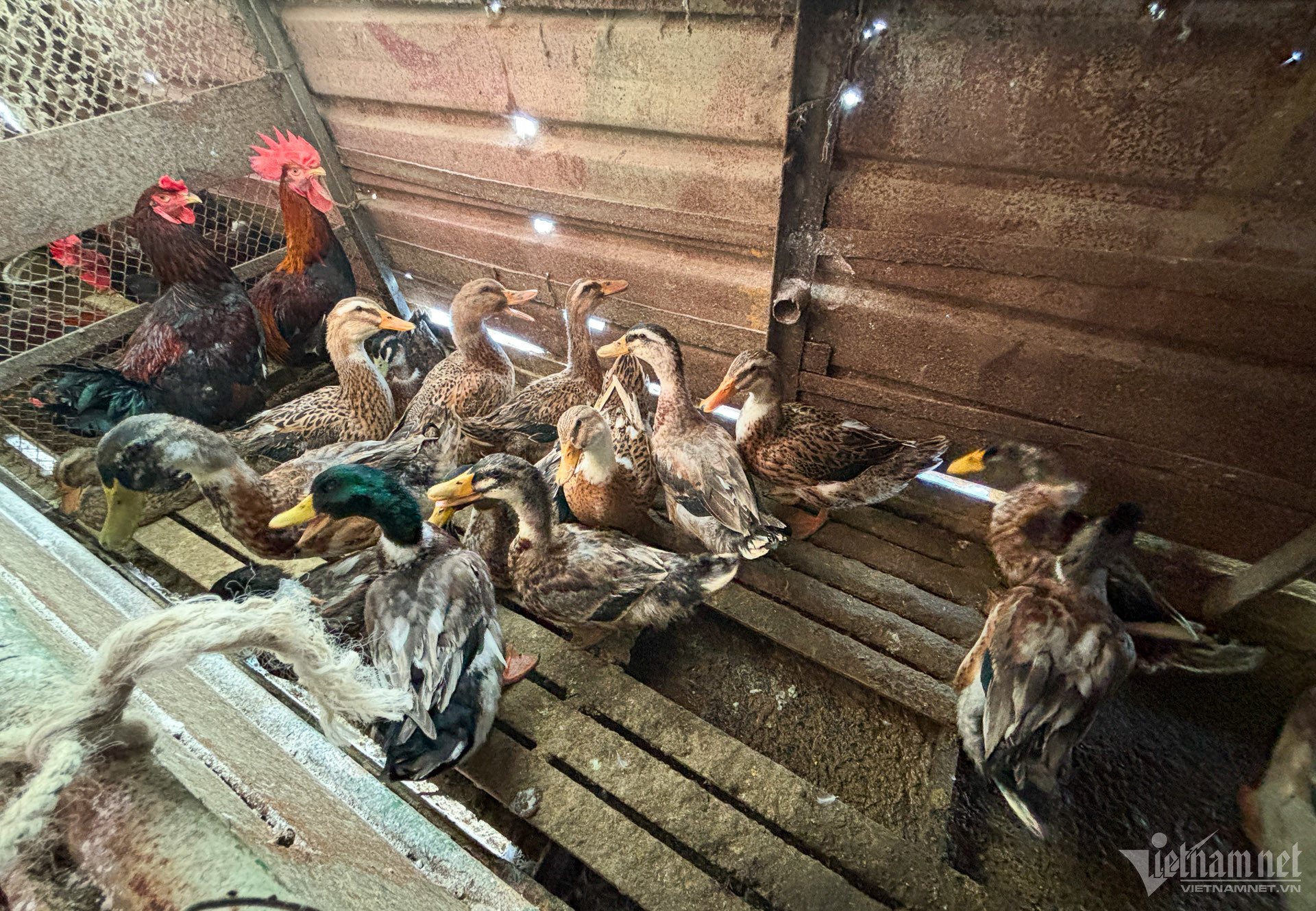 W-13 DKI 14_1847.jpg