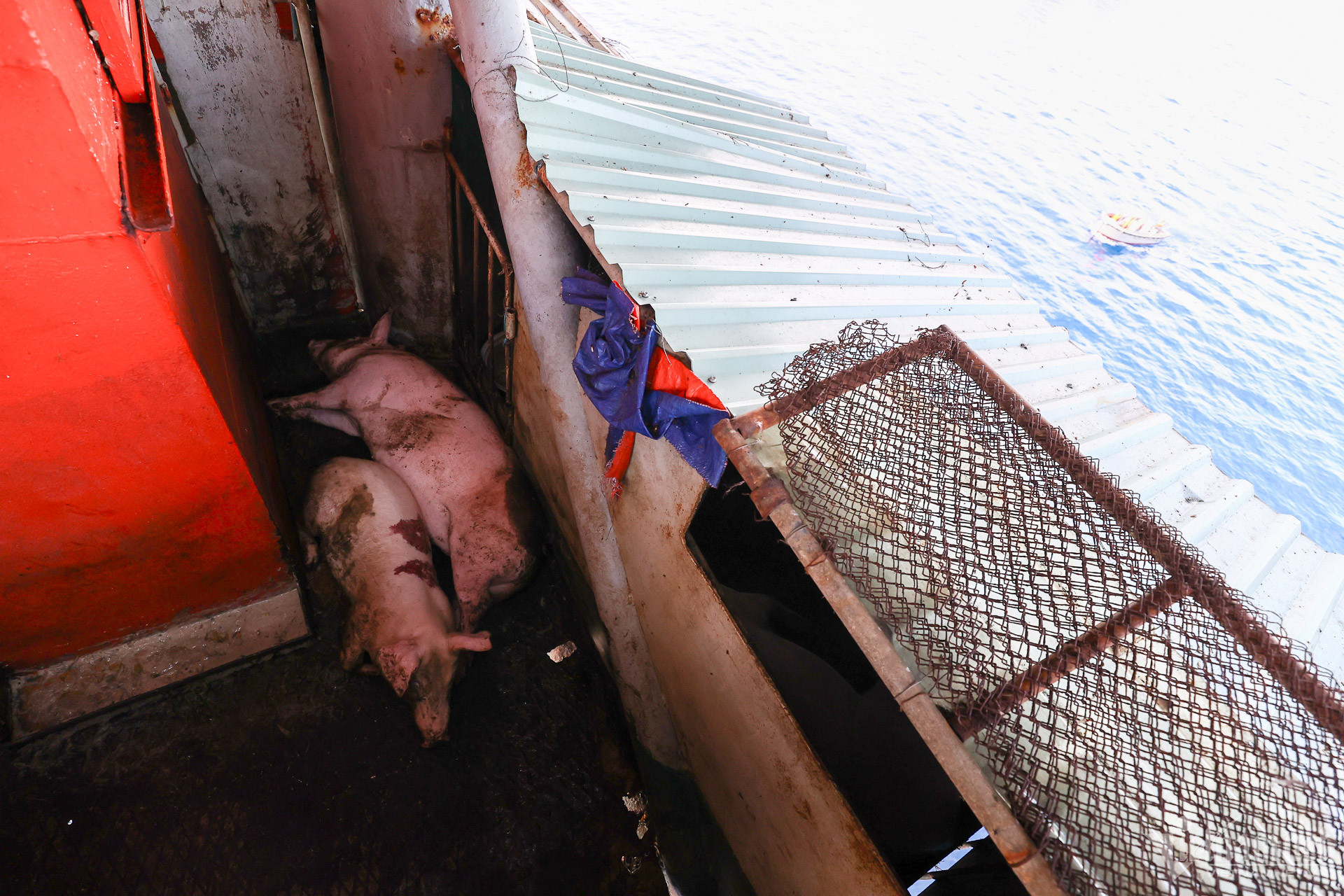 W-14 DKI 14_7489.jpg