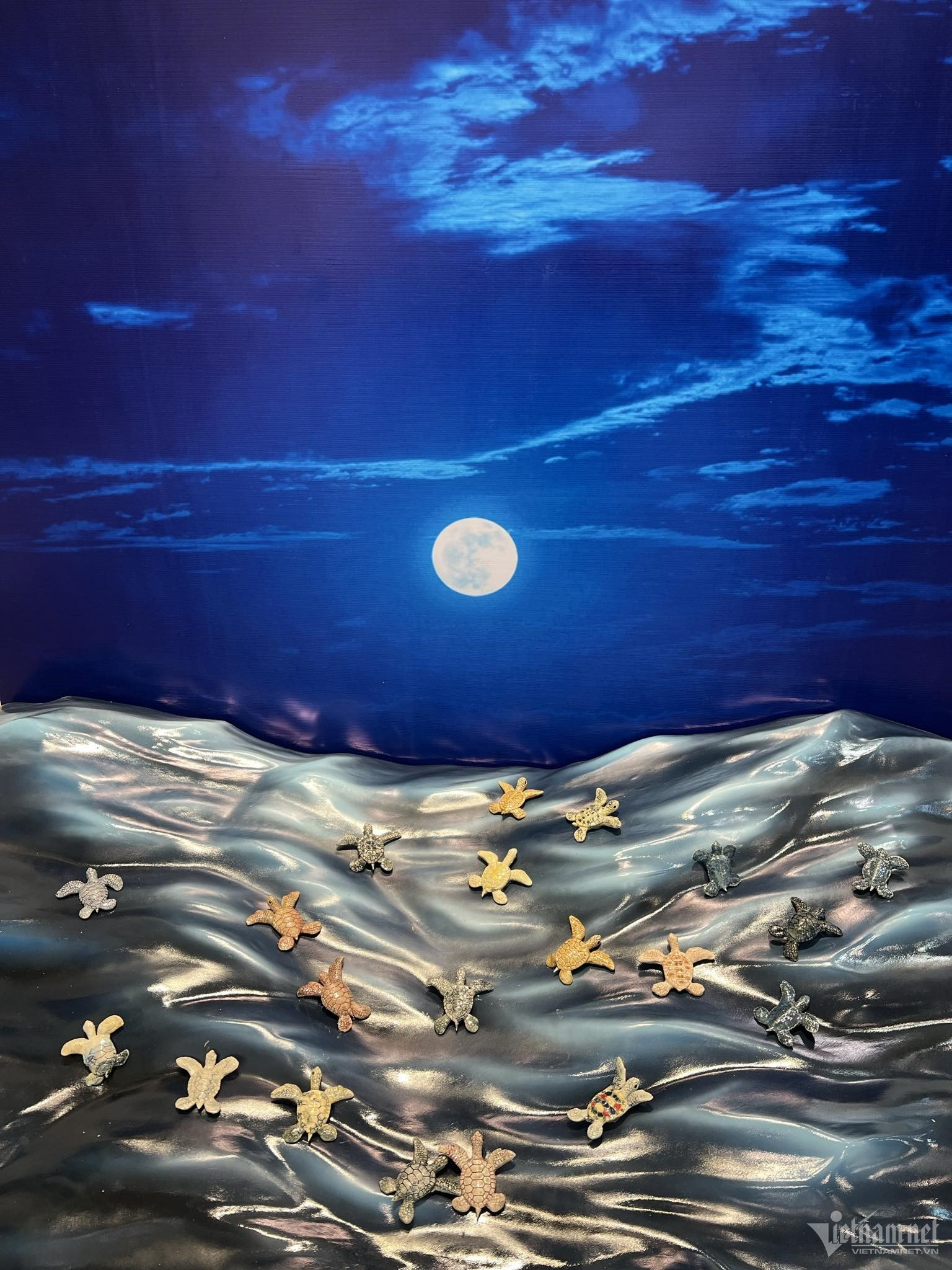 W-b5400170 1a20 461c 9df1 1d927d7ff266.jpg