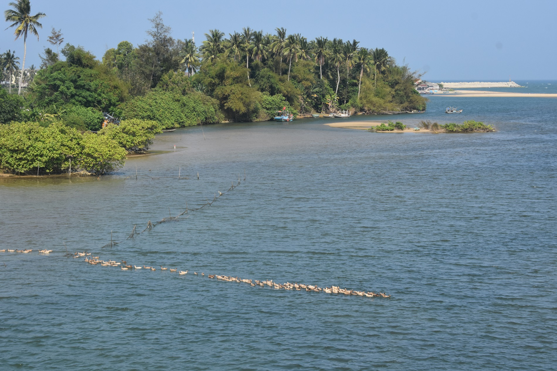 H1. Làng Cổ Luỹ, nơi khởi đầu con nước sông Kinh.JPG