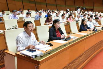 Quốc hội bổ sung chương trình kỳ họp, quyết định nội dung thuộc thẩm quyền