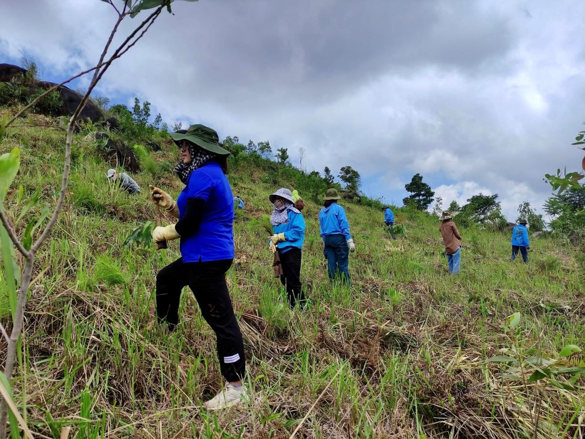 tin 16 NGHE RỪNG KỂ CHUYỆN.jpg