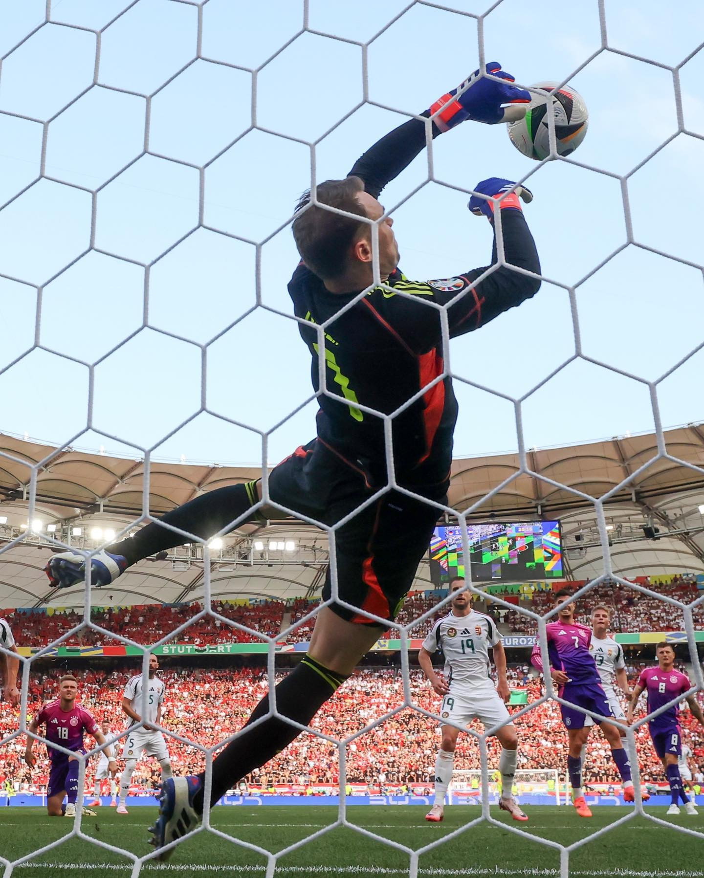 duc vs hungary 2.jpg