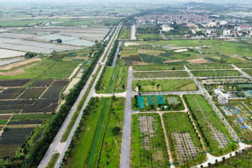 Đất nền ven Hà Nội tấp nập lên sàn đấu giá, khởi điểm từ 14,1 triệu đồng/m2