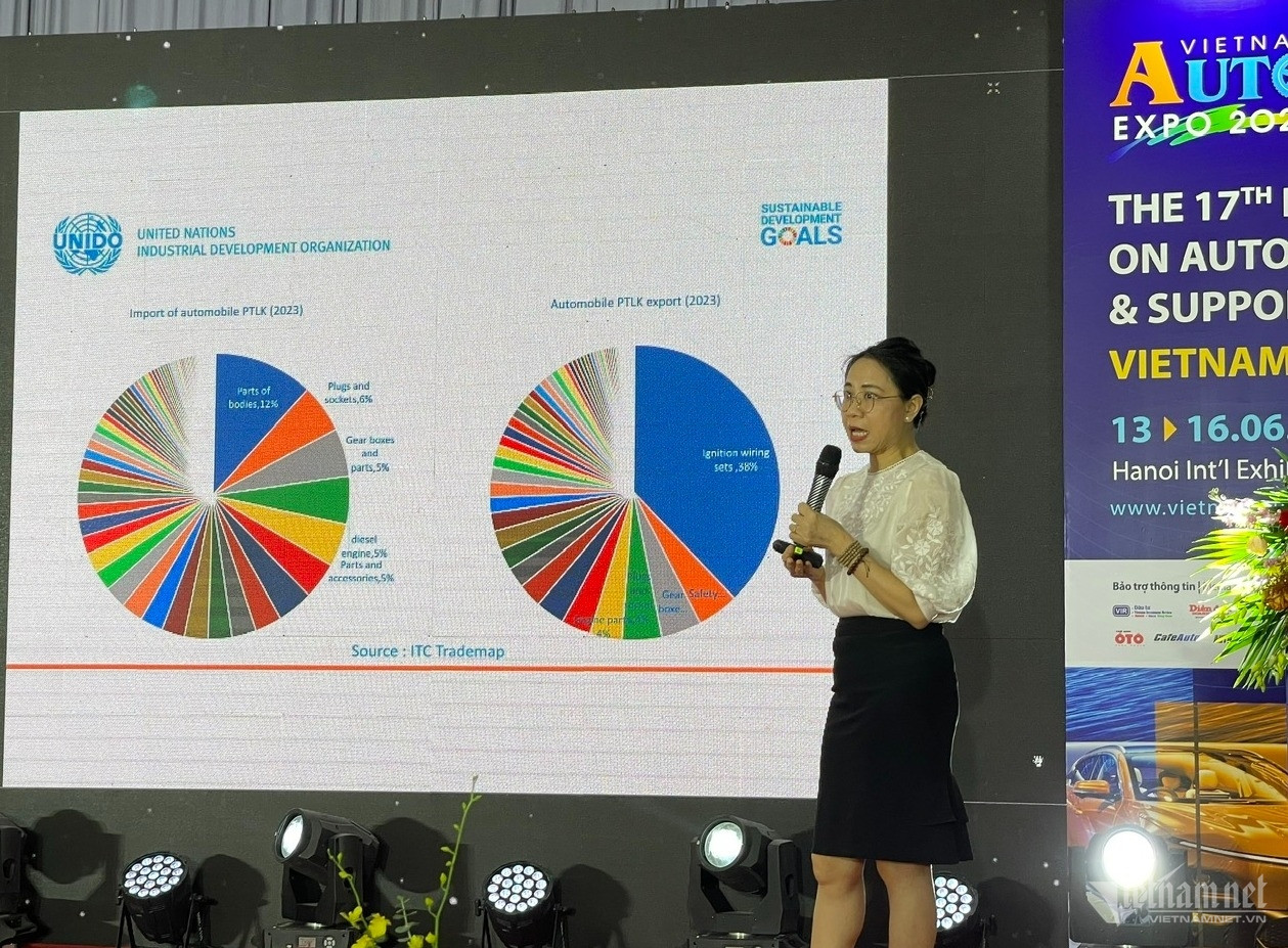 W-Ms Thuý UNIDO.jpg