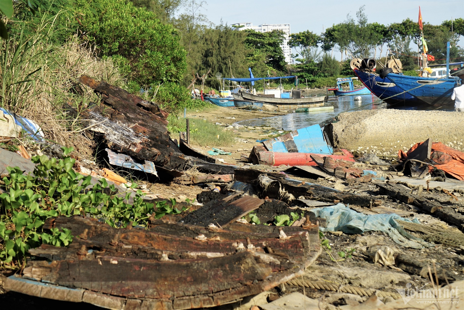 W-vinh man quang6.jpg