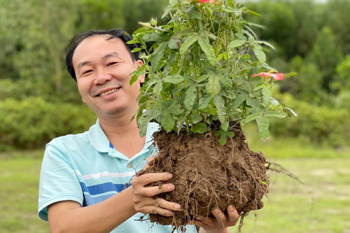 Sản vật tiến vua bị mai một hơn 70 năm bất ngờ được hồi sinh ở Nghệ An