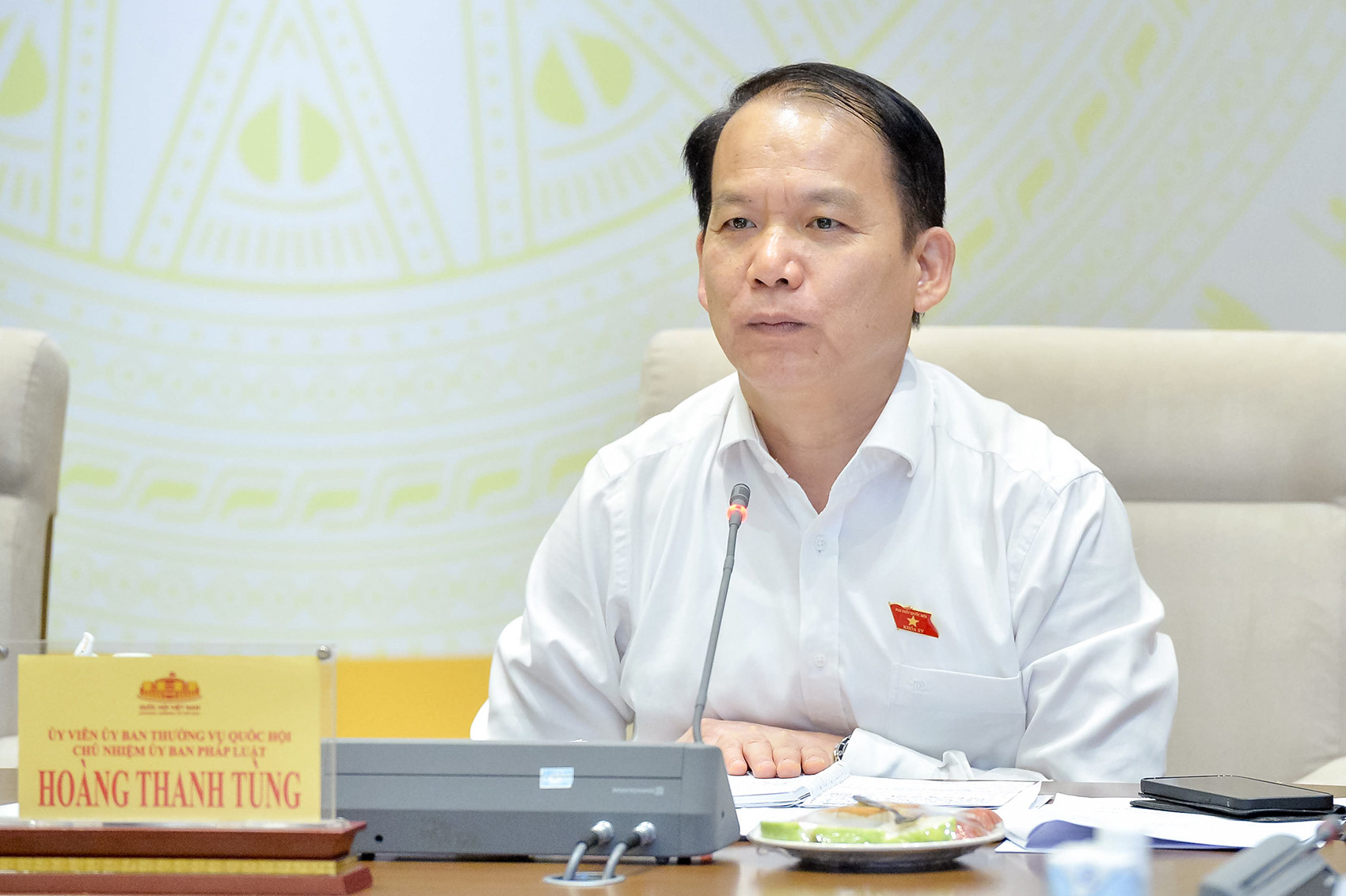 202406141636284251_Chủ nhiệm Ủy ban Pháp luật Hoàng Thanh Tùng.jpg