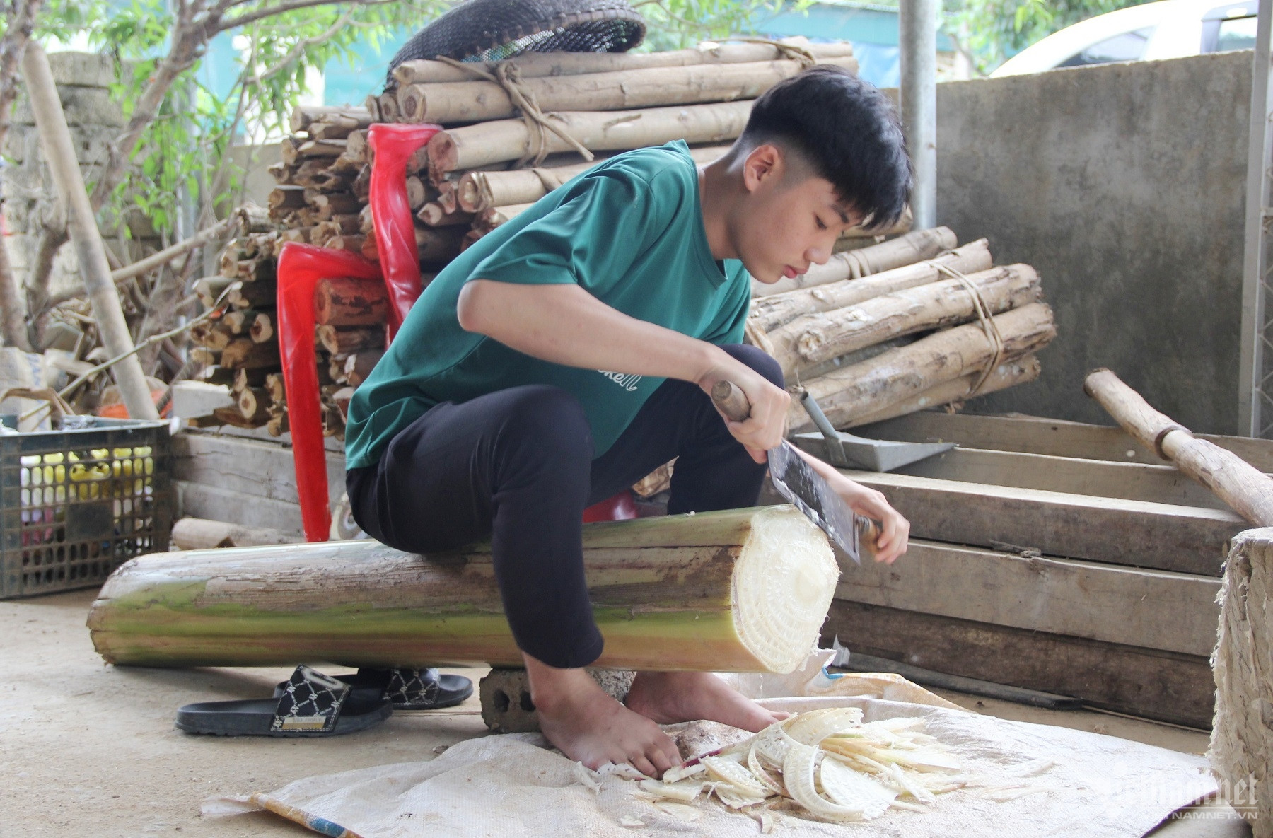 Hành trình cao đẹp: Cậu bé 10 năm kiên trì cõng bạn bại não đến trường