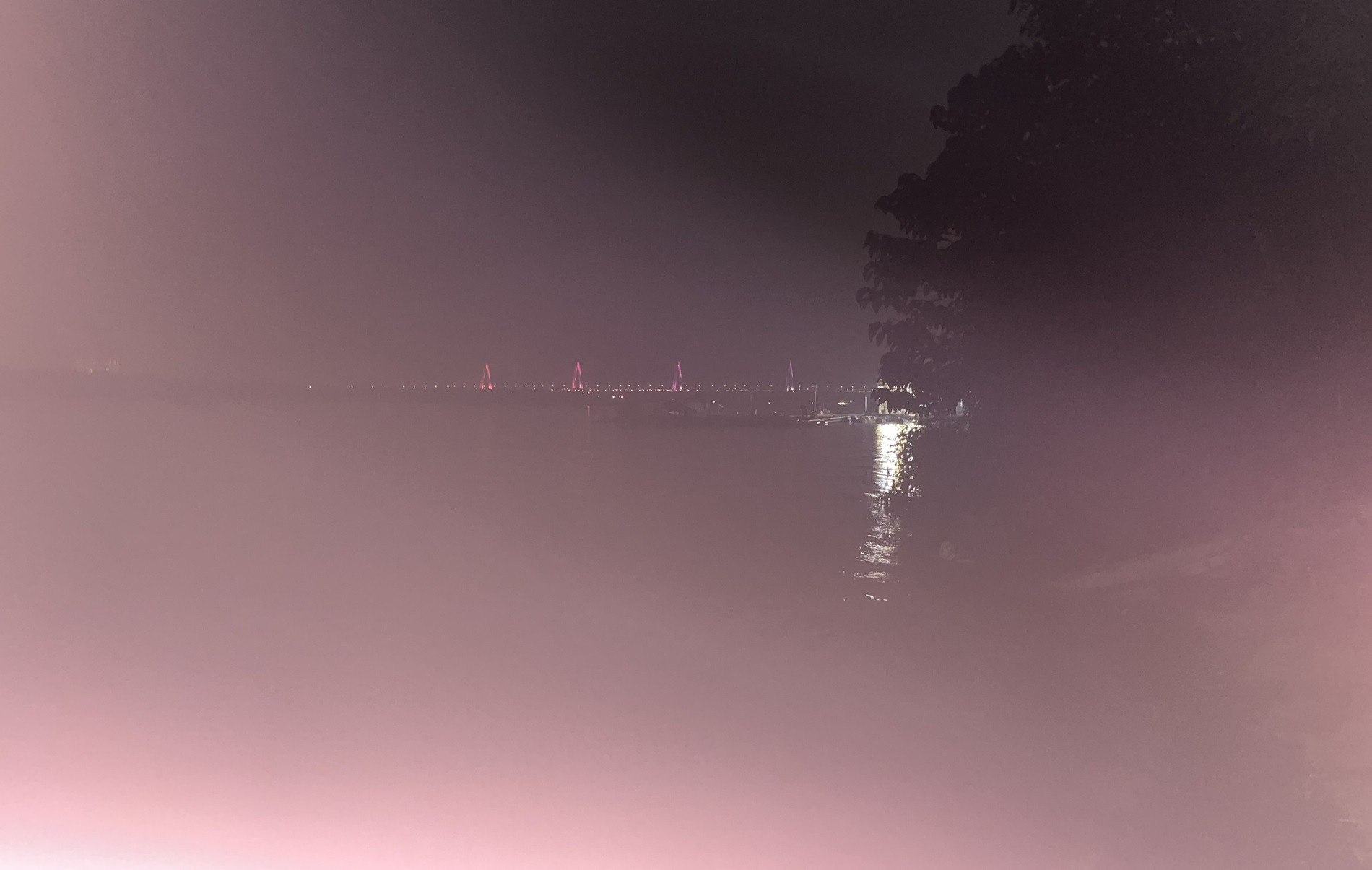 Cầu Nhật Tân nhìn từ Bến Bạc, làng Thượng Thụy, Tây Hồ.jpg