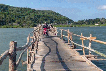 Cây cầu ở Phú Yên làm hoàn toàn từ gỗ, du khách 'thót tim' lái xe băng qua