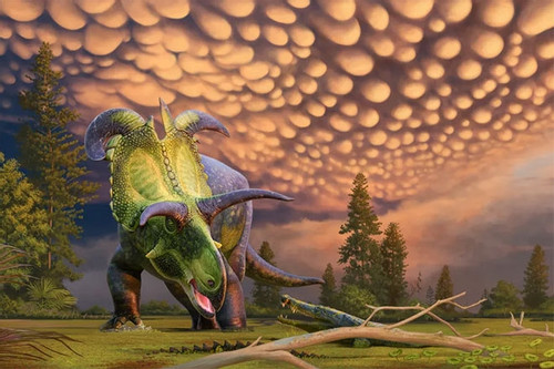 Phát hiện loài khủng long 4 sừng khổng lồ như lưỡi kiếm, có từ 80 triệu năm trước