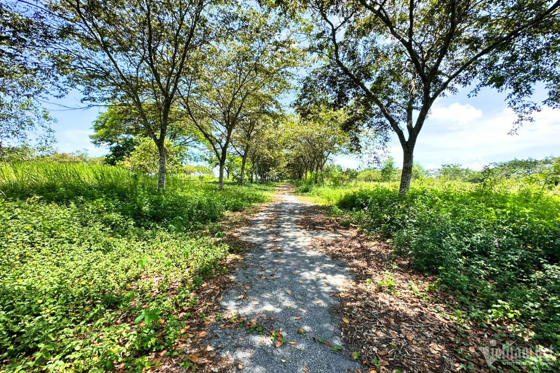 W-khu dan cu giang dien.jpg