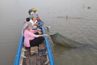 Nơi sông Mekong chảy vào đất Việt