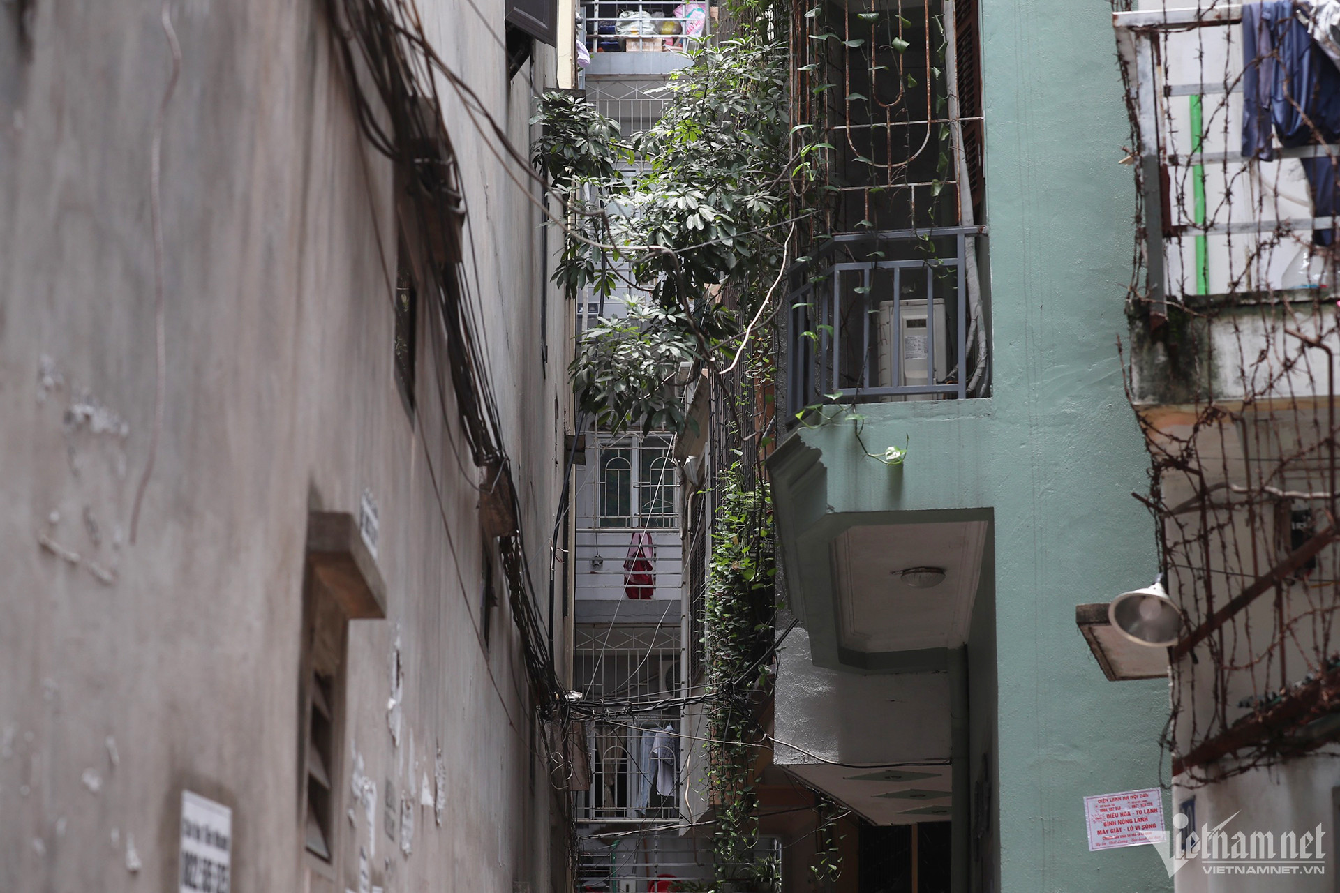 w chuongcop 2085.jpg