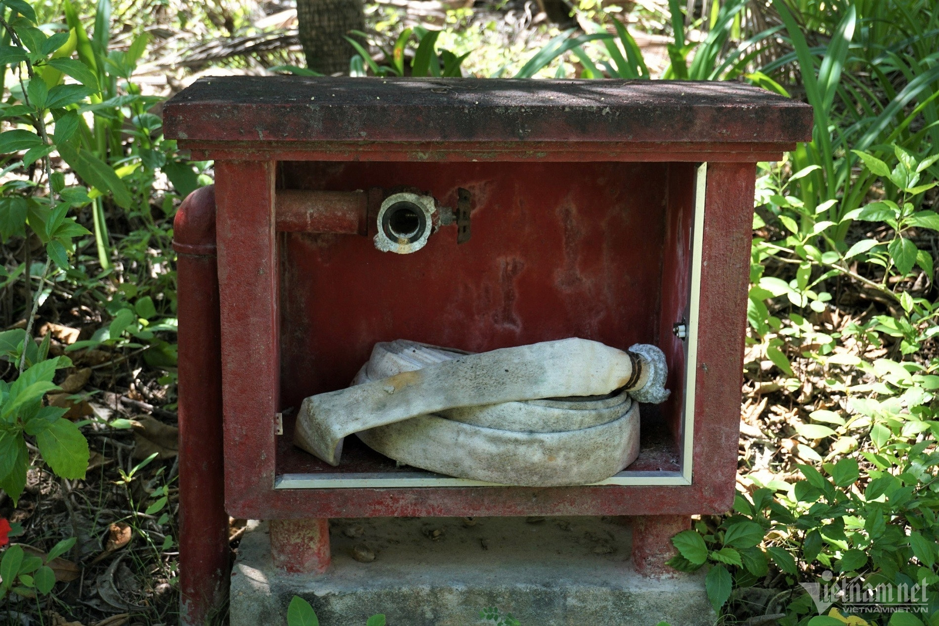 W-du an6.jpg