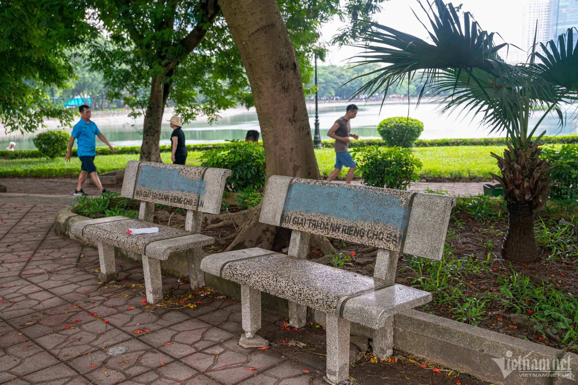 W-quảng cáo, cá độ, bóng đá 11.jpg