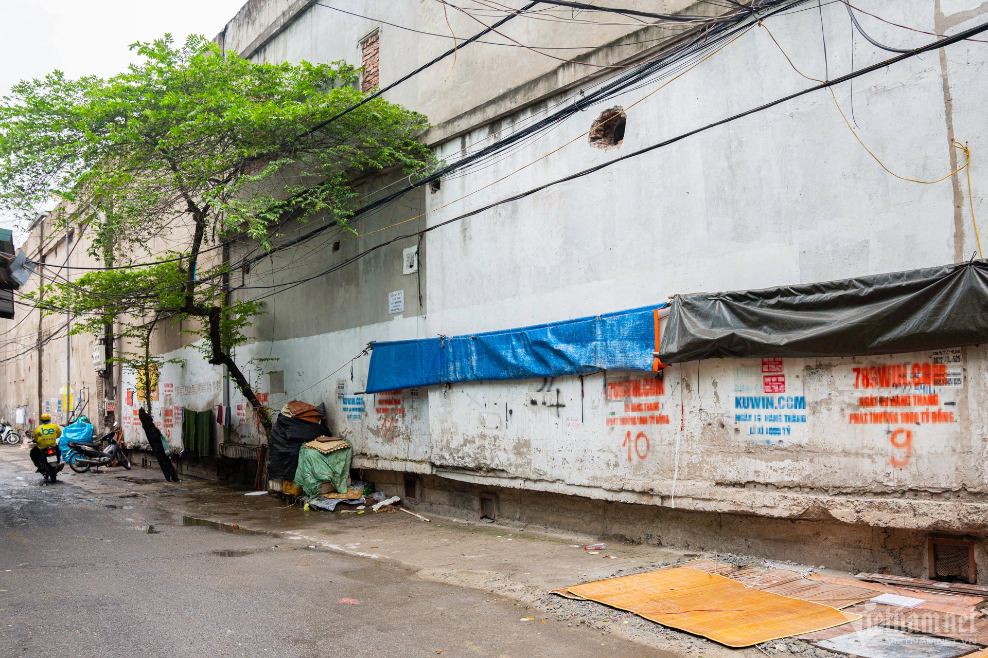 W-quảng cáo, cá độ, bóng đá.jpg