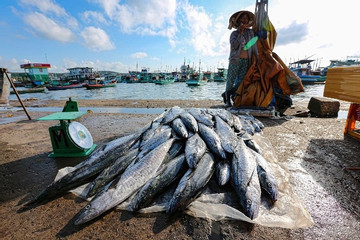 Huyện đảo Phú Quý phát triển kinh tế biển làm mũi nhọn dựa trên 2 trụ cột chính