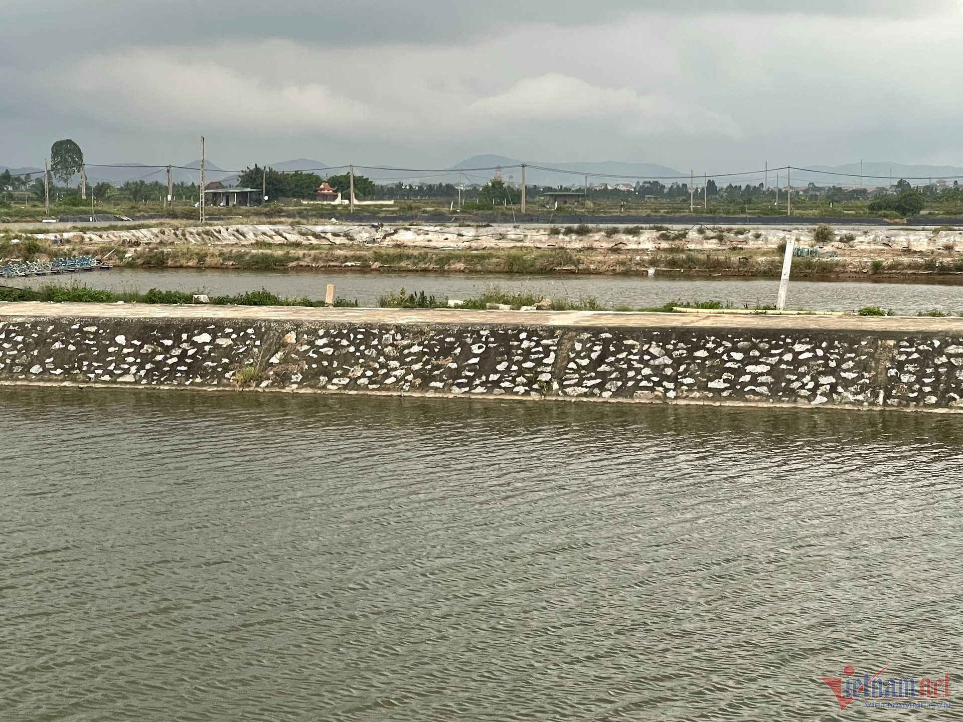 W-IMG_5262 nuôi trồng thuỷ sản.jpg