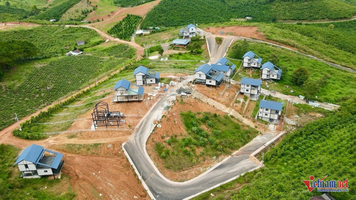 W-lâm đồng.JPG.jpg