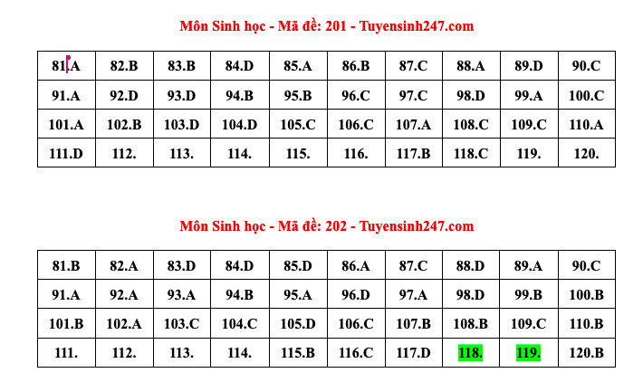 Đề thi và đáp án tham khảo môn Sinh học tốt nghiệp THPT 2024