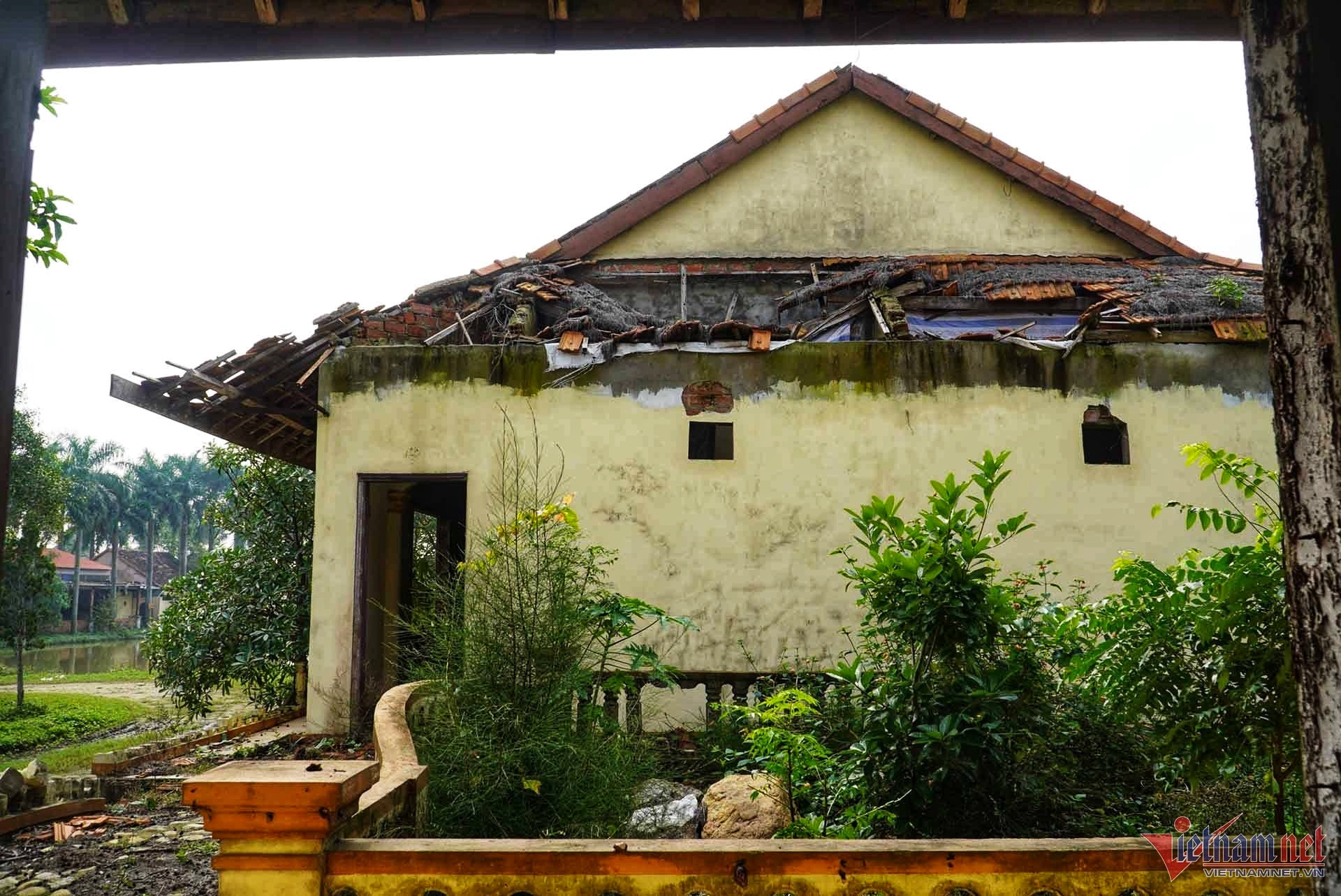 w bo hoang4 3794.jpg