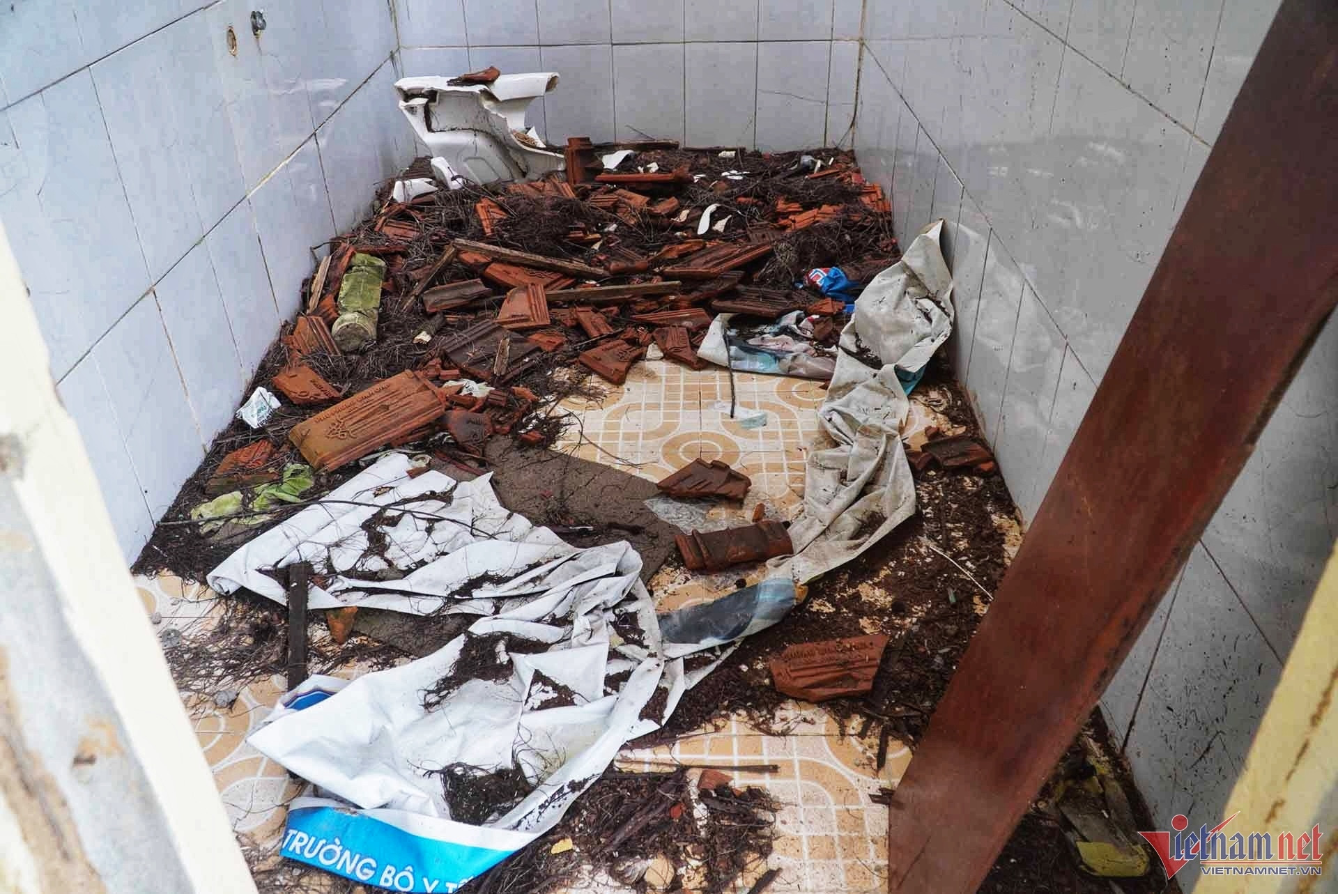 w bo hoang6 3795.jpg