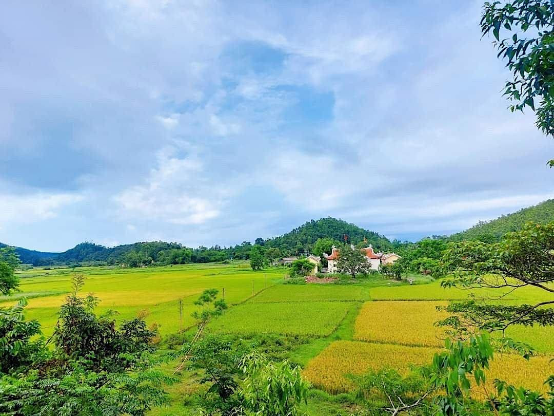 Khóa họp đầu tiên trong năm 2024 của Hội đồng Nhân quyền