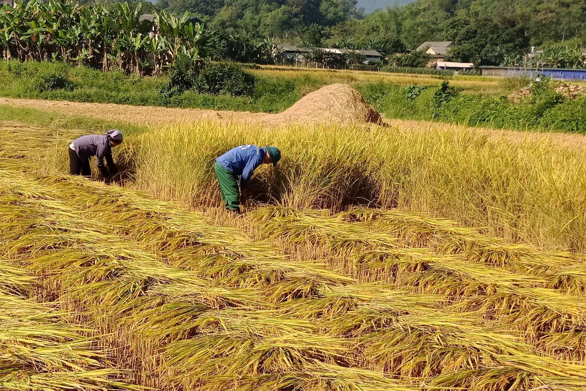 Việt Nam xây dựng Báo cáo quốc gia UPR chu kỳ IV kỹ lưỡng, toàn diện