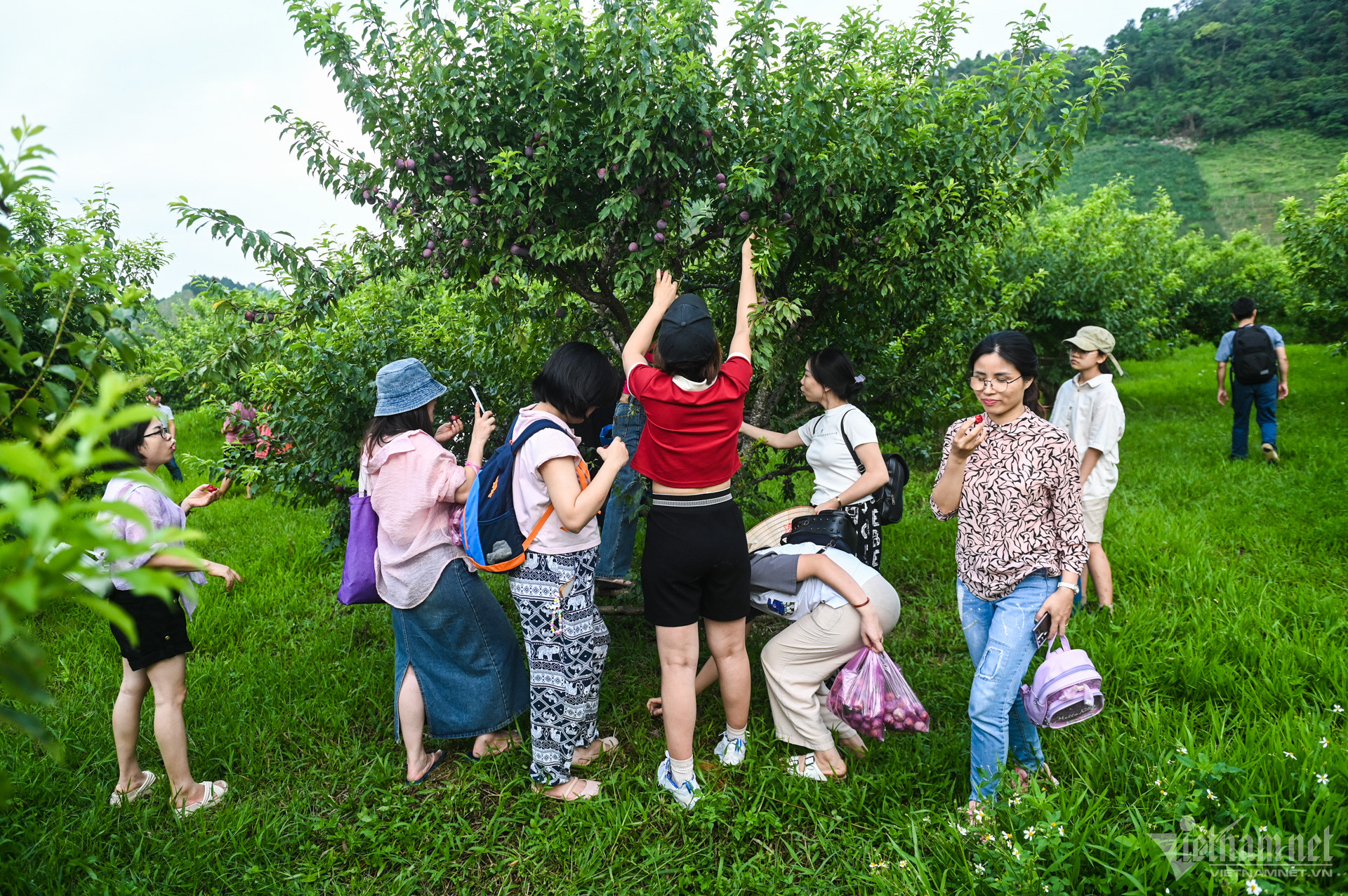 W-giảm nghèo Sơn La (7).jpg