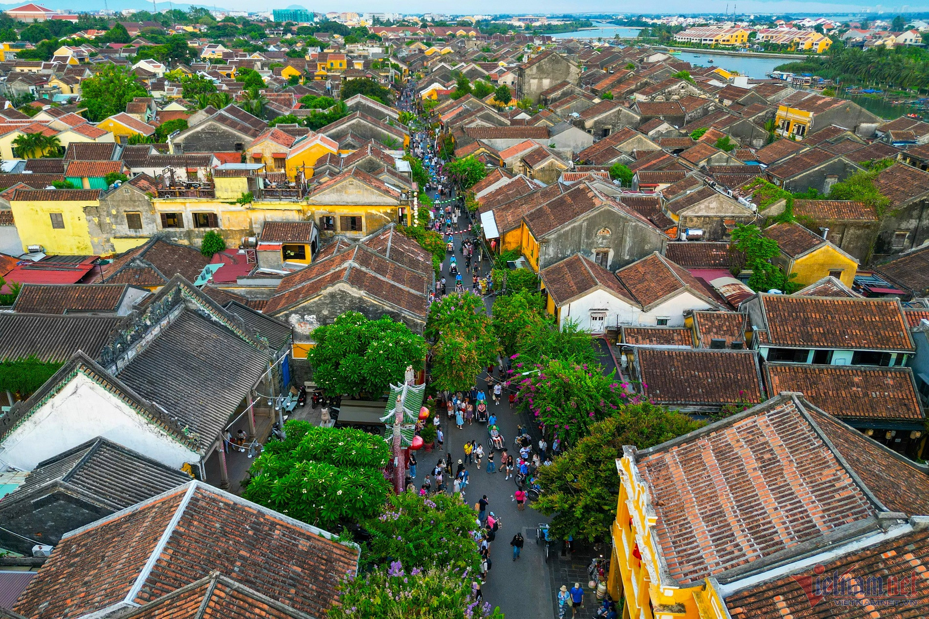 Cận cảnh con đường dài 1km ở Hội An vừa lọt top đẹp nhất thế giới -  Vietnam.vn