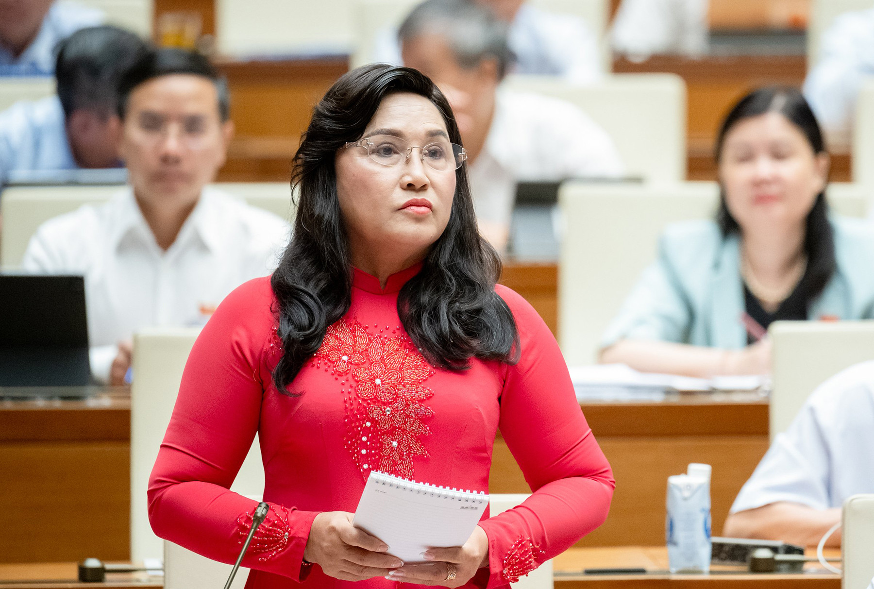 kim be dong thap.jpeg