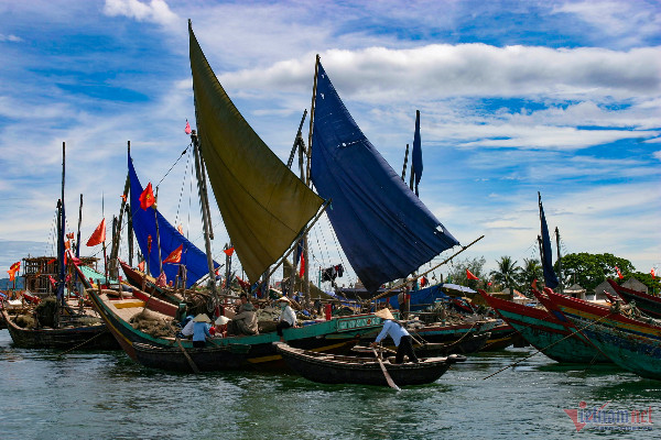 Phát triển thủy sản nhanh và bền vững gắn với bảo vệ chủ quyền biển, đảo Tổ quốc