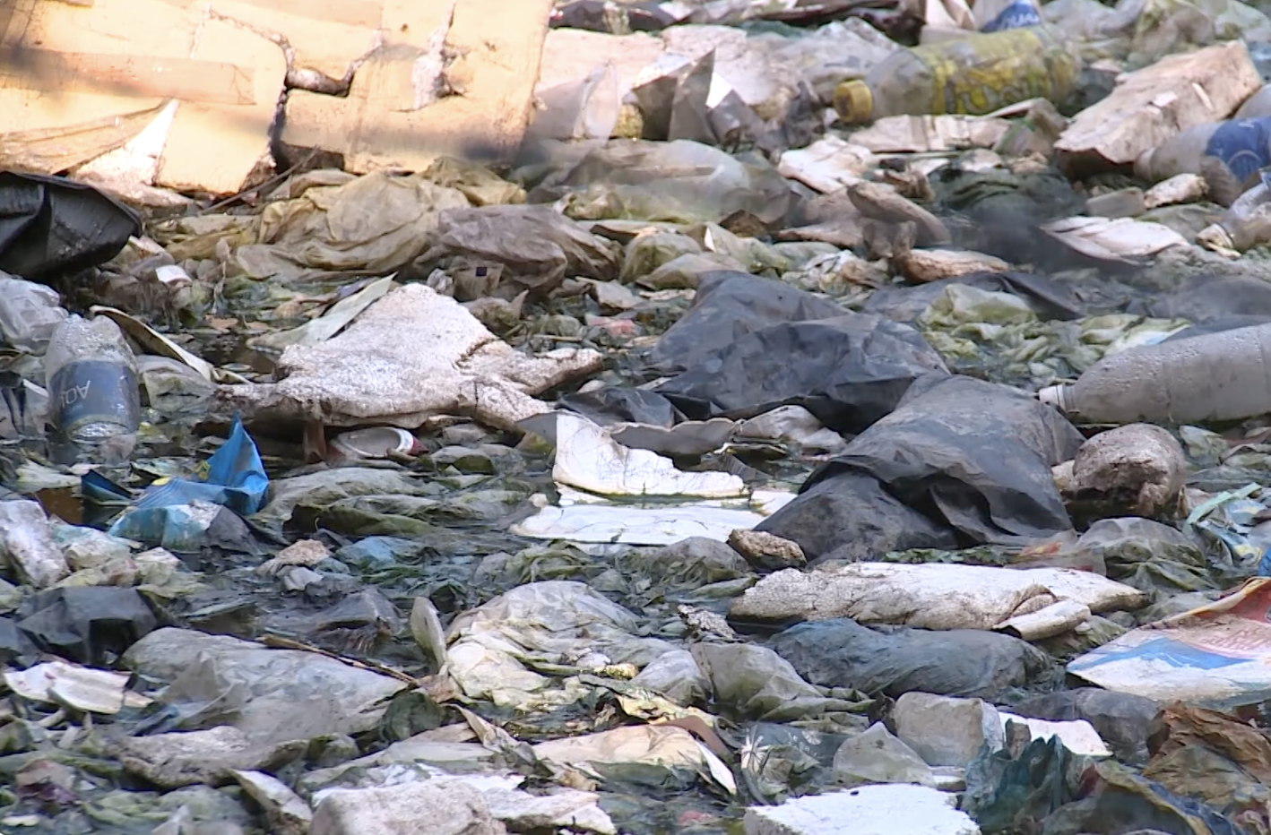 Không sản xuất và nhập khẩu túi nilon khó phân hủy sinh học từ 01/01/2026