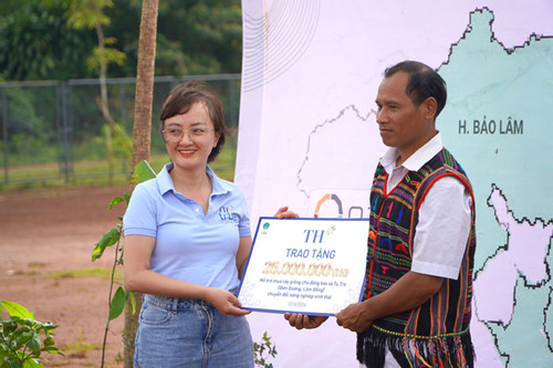 Tập đoàn TH chung tay cùng cộng đồng bảo vệ, phục hồi rừng