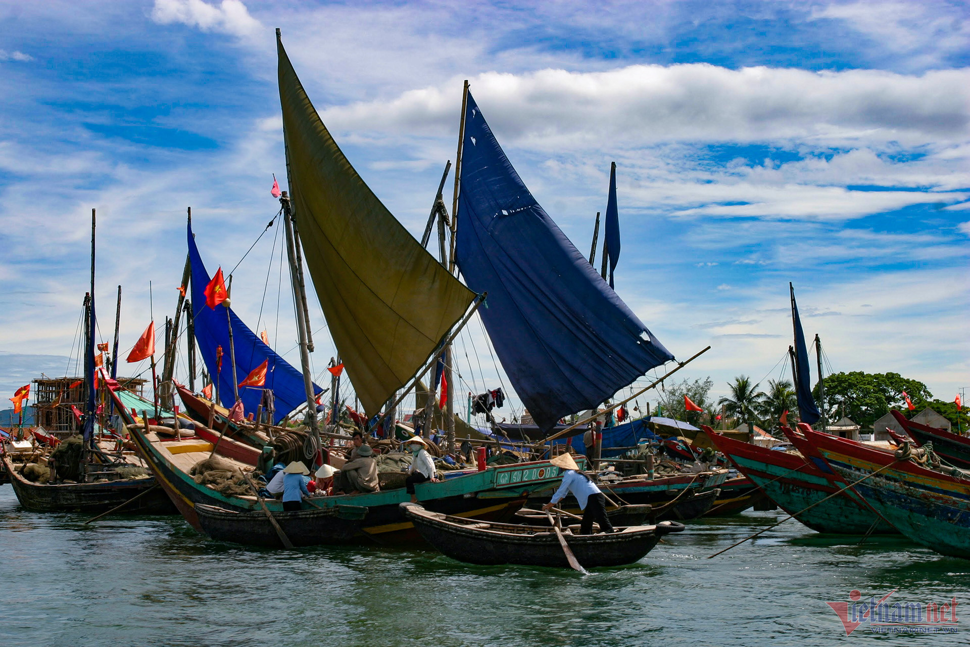 W-Cảng cá Lạch Bạng, Tĩnh Gia, Thanh Hóa 1 usde.JPG.jpg